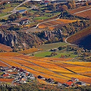 Salgesch Wallis vineyards 